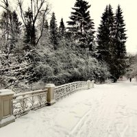 В парке прошёл снег - 2 :: Сергей 