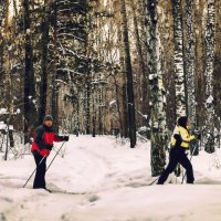 Лыжные прогулки в парке :: Сергей Царёв