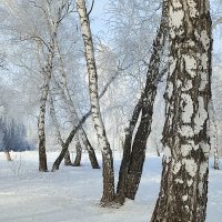 *** :: Валентина Богатко 