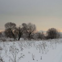 Пейзаж зимы :: Андрей Снегерёв