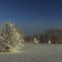 Причуды зимы 5 :: Сергей Жуков