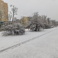 Снежку подбросило... :: Юрий Шевляков