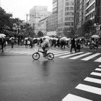 Токийские зонтики Токио Япония :: wea *