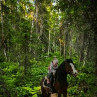 детя на лошади в сказочном лесу :: Ринат Засовский