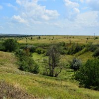 Каменск-Шахтинский. Степь за Малой Говейной балкой. :: Пётр Чернега