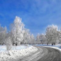 По дороге зимней :: Mikhail Irtyshskiy