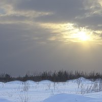 Снег и солнце :: Андрей К