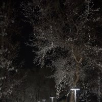 Ночь в парке :: Константин Антошкин