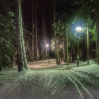 Вечерняя лыжня :: Vladimbormotov 