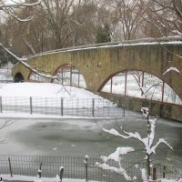 Зима в ростовском зоопарке... :: Нина Бутко
