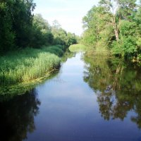 Lėvuo river. Lithuania :: silvestras gaiziunas gaiziunas