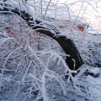 Зимнее волшебство :: Наталья 