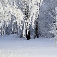 Белое и голубое :: Татьяна Лютаева