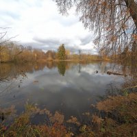 Рыбные пруды усадьбы Сенницы :: Евгений Седов