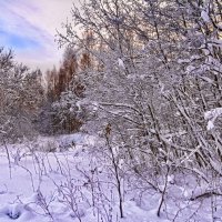 Розовый снег :: Юрий Митенёв