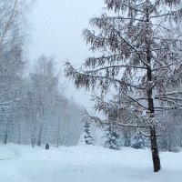 снегопад :: Владимир 