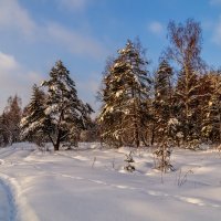 Морозное утро второго января # 12 :: Андрей Дворников