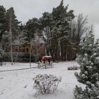 Зима :: Евгения Коркунова
