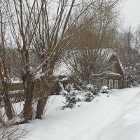 Утопающий в снегу :: Нина Синица