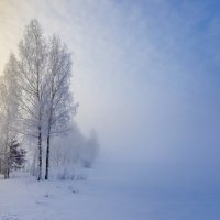 Туманный февраль :: Александр Игнатьев