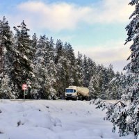 На трассе. :: Восковых Анна Васильевна 