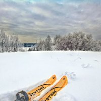 По снежной целине :: Юрий Митенёв