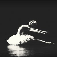 Балет, балет, балет.... :: Elena Ророva