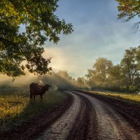 Утром... :: Александр 