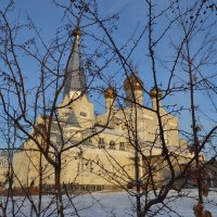 Введенский храм.Зима. :: Андрей Хлопонин
