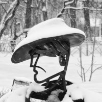 Под шляпой и снег не страшен...)) :: Elena Ророva