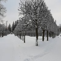 Екатерининский парк :: Наталья Герасимова