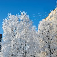Зима в Питере4 :: Юрий Бутусов