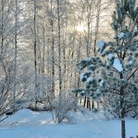 Зима в Питере1 :: Юрий Бутусов