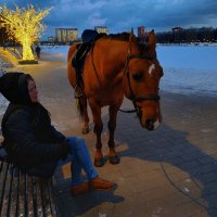 Очень добрый конь по имени Барбарис (или ласково Борька) :: Андрей Лукьянов