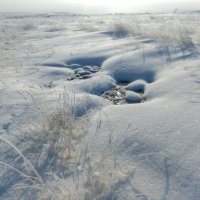 В снегах, хорошо... :: Андрей Хлопонин