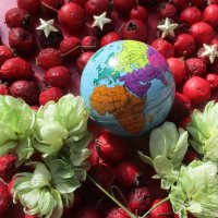 В День влюбленных  видится картинка: земной шар, как валентинка! :: Alex Aro Aro Алексей Арошенко