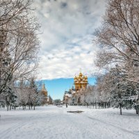 В зимнем парке :: Игорь Сарапулов