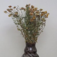 Цветы в вазе :: Дмитрий Никитин