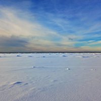 Берег Финского залива :: veera v
