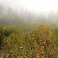 Осенний туман :: Сергей Чиняев 