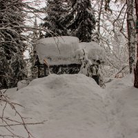 В закромах у природы :: Вячеслав Случившийся