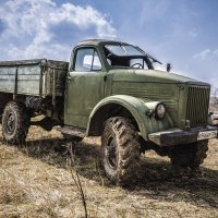 Полинявший но бодрый :: Юрий Глаголистов