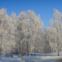 Русская зима. :: Aleksey Afonin