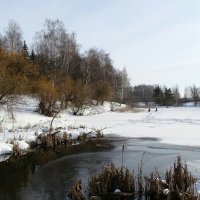 Весна идёт - весне дорогу! :: Милешкин Владимир Алексеевич 