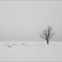 Одиночество... :: Эдуард Кокозов
