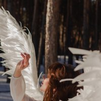 нежность ангела :: Alexander Chernyshenko