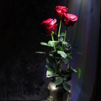 Три розы :: Irene Irene