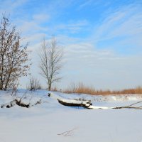 По замёрзшей реке :: Андрей Снегерёв