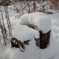 Не садись на пенёк, не ешь пирожок :: Галина Минчук