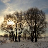 Зимнее солнце :: Андрей Снегерёв